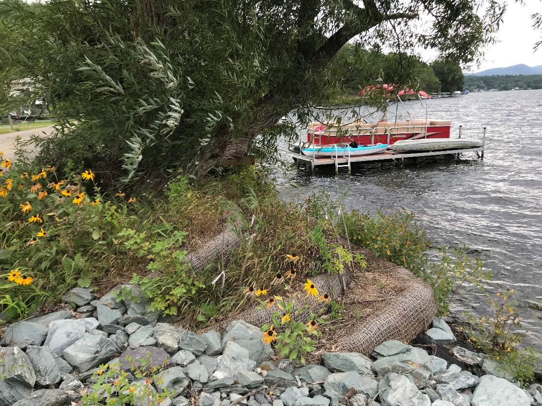 Vermont DEC offers guidance to help property owners protect shorelands